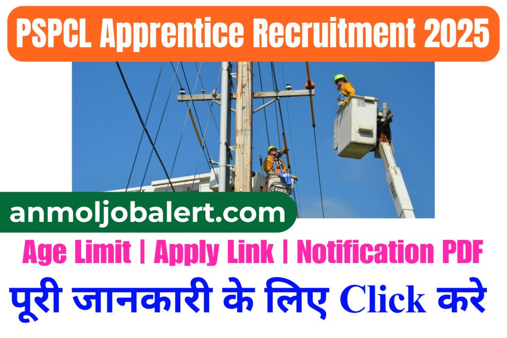 pspcl lineman
